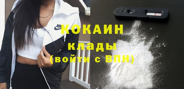 крисы Алексин